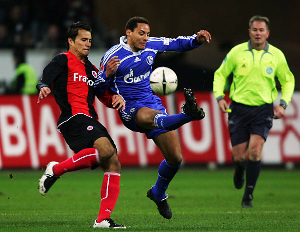 如果你需要 如果你需要