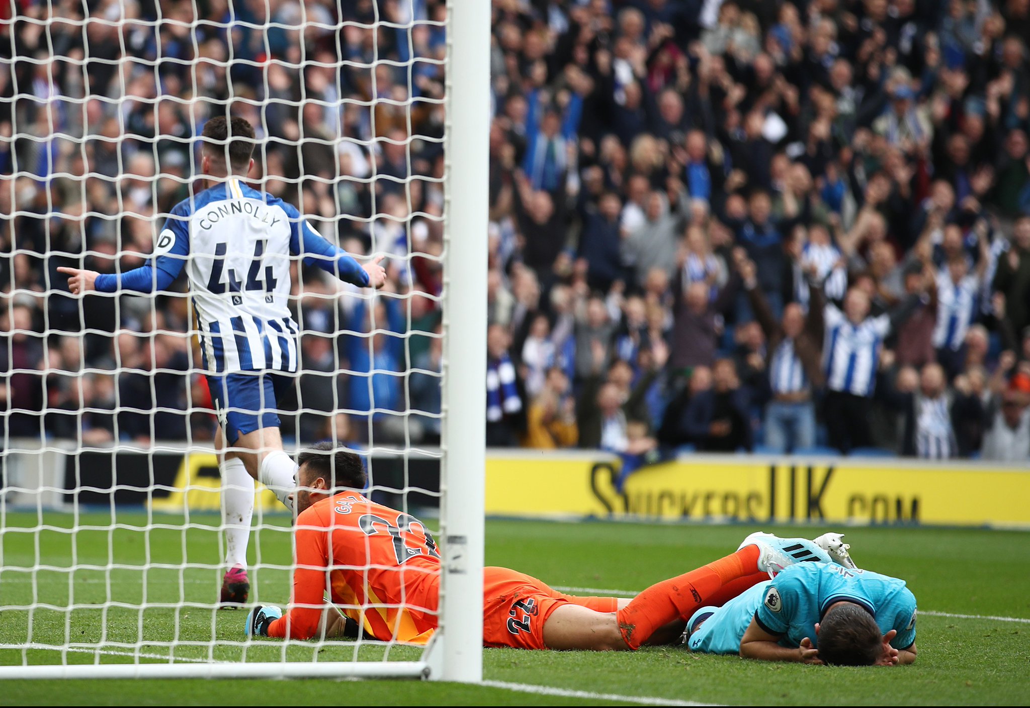 决定表示不 决定表示不