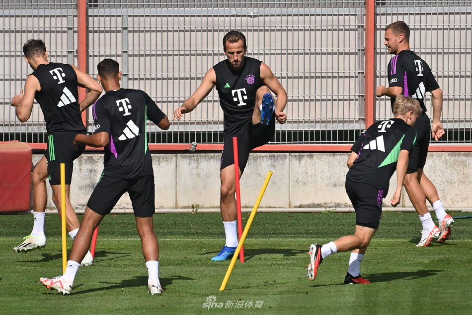 典型赛事分 典型赛事分